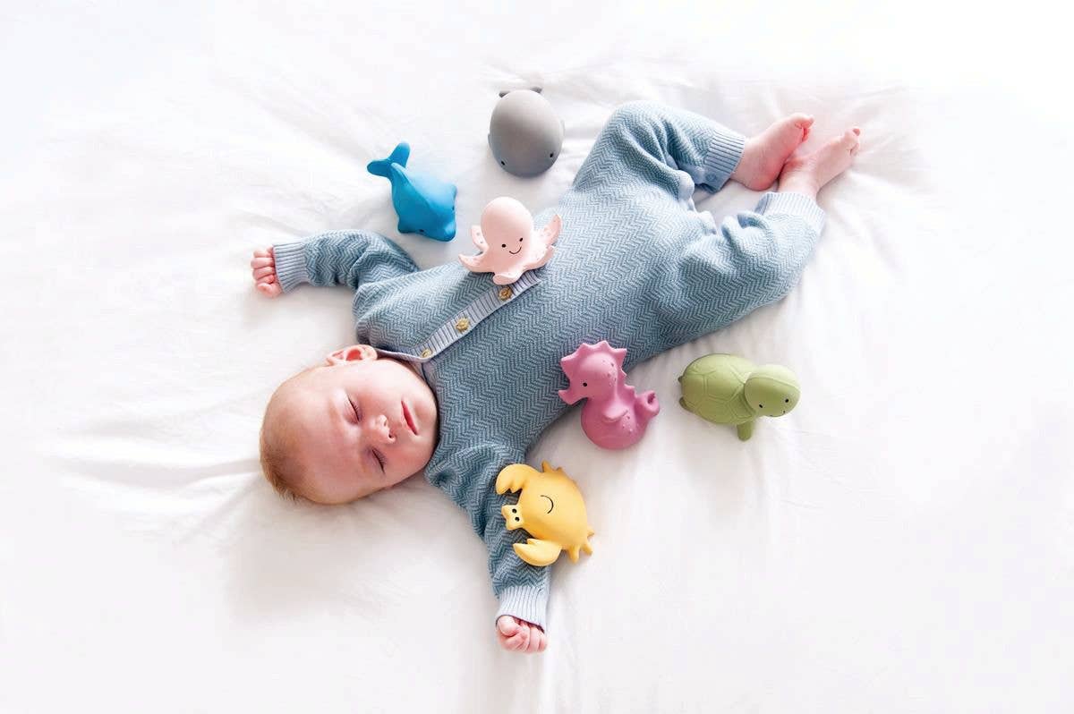 Dolphin Natural Organic Rubber Teether, Rattle & Bath Toy - Tiny Tots Boutique