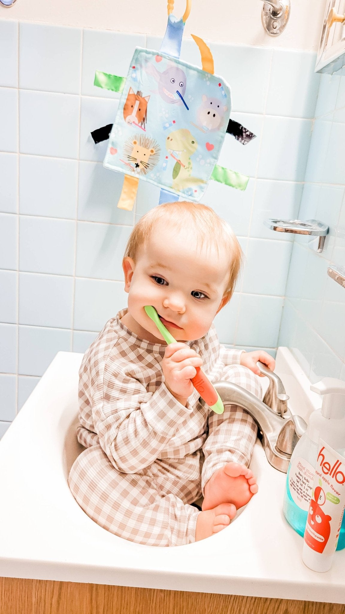Baby Animals Brushing Teeth Dental Crinkle Tag Toy Teether - Tiny Tots Boutique