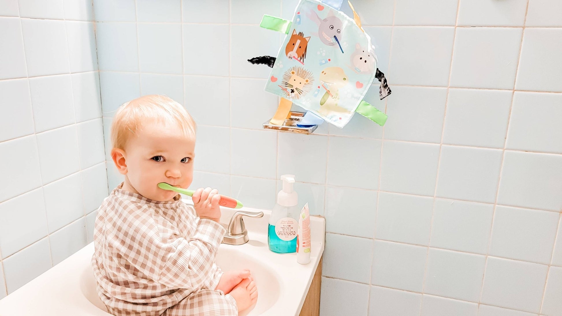 Baby Animals Brushing Teeth Dental Crinkle Tag Toy Teether - Tiny Tots Boutique