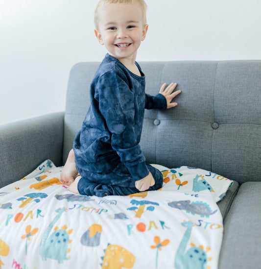 Baby & Toddler Minky Blanket - Dinoland Blue - Tiny Tots Boutique