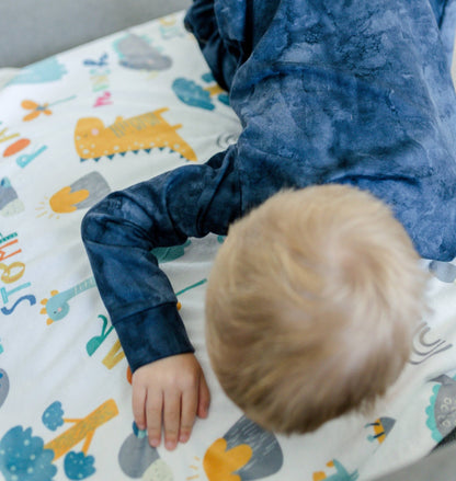 Baby & Toddler Minky Blanket - Dinoland Blue - Tiny Tots Boutique