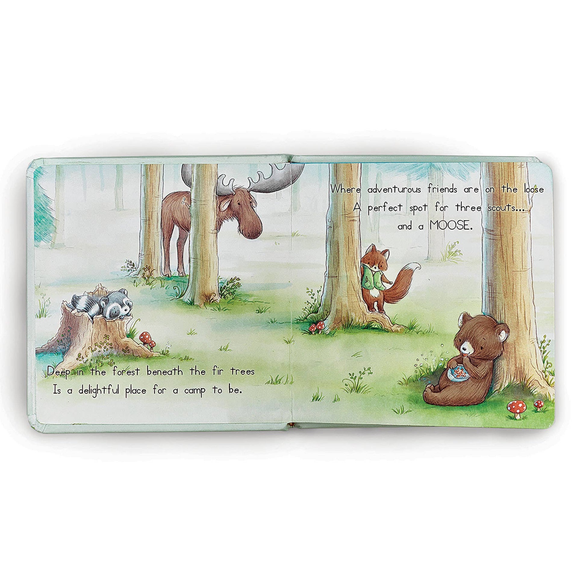 Camp Cricket Board Book - Tiny Tots Boutique
