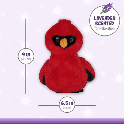 Caring Cardinal Warm Pal - Tiny Tots Boutique