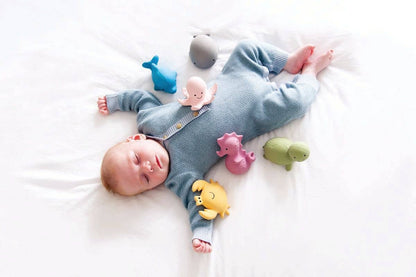 Dolphin Natural Organic Rubber Teether, Rattle & Bath Toy - Tiny Tots Boutique