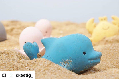 Dolphin Natural Organic Rubber Teether, Rattle & Bath Toy - Tiny Tots Boutique
