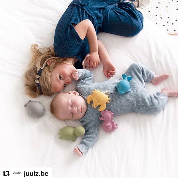 Dolphin Natural Organic Rubber Teether, Rattle & Bath Toy - Tiny Tots Boutique