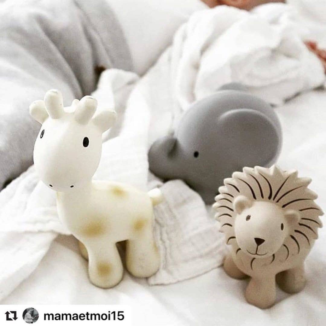 Elephant Natural Organic Rubber Teether, Rattle & Bath Toy - Tiny Tots Boutique