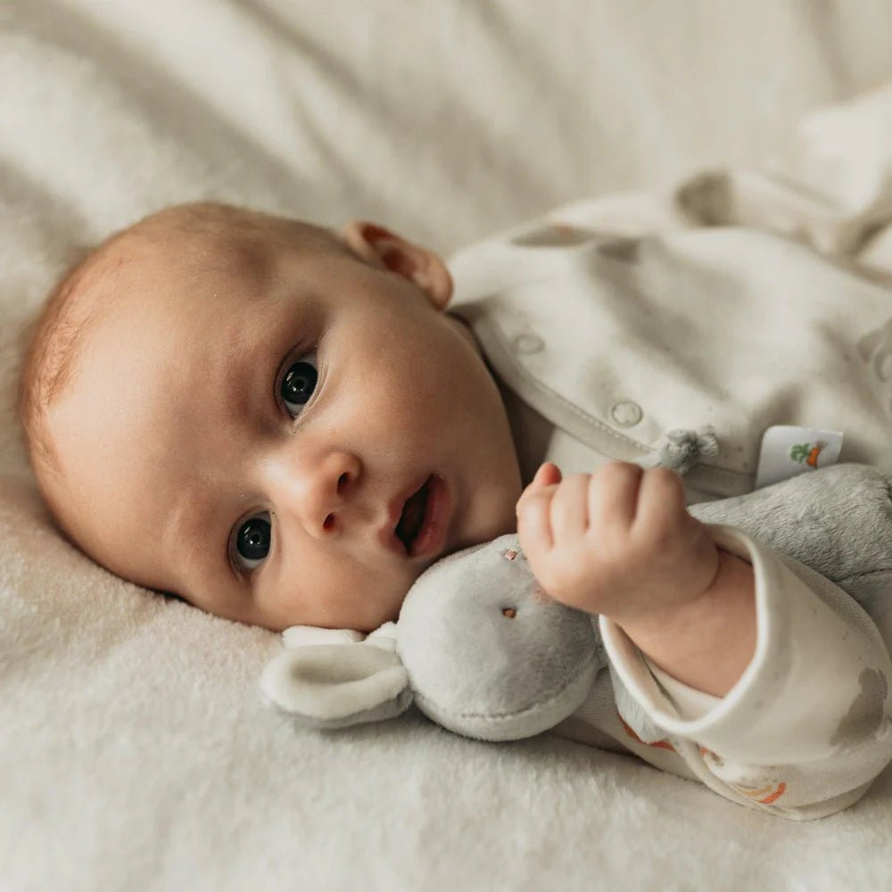 Friendly Chime Gray Bunny Rattle - Tiny Tots Boutique