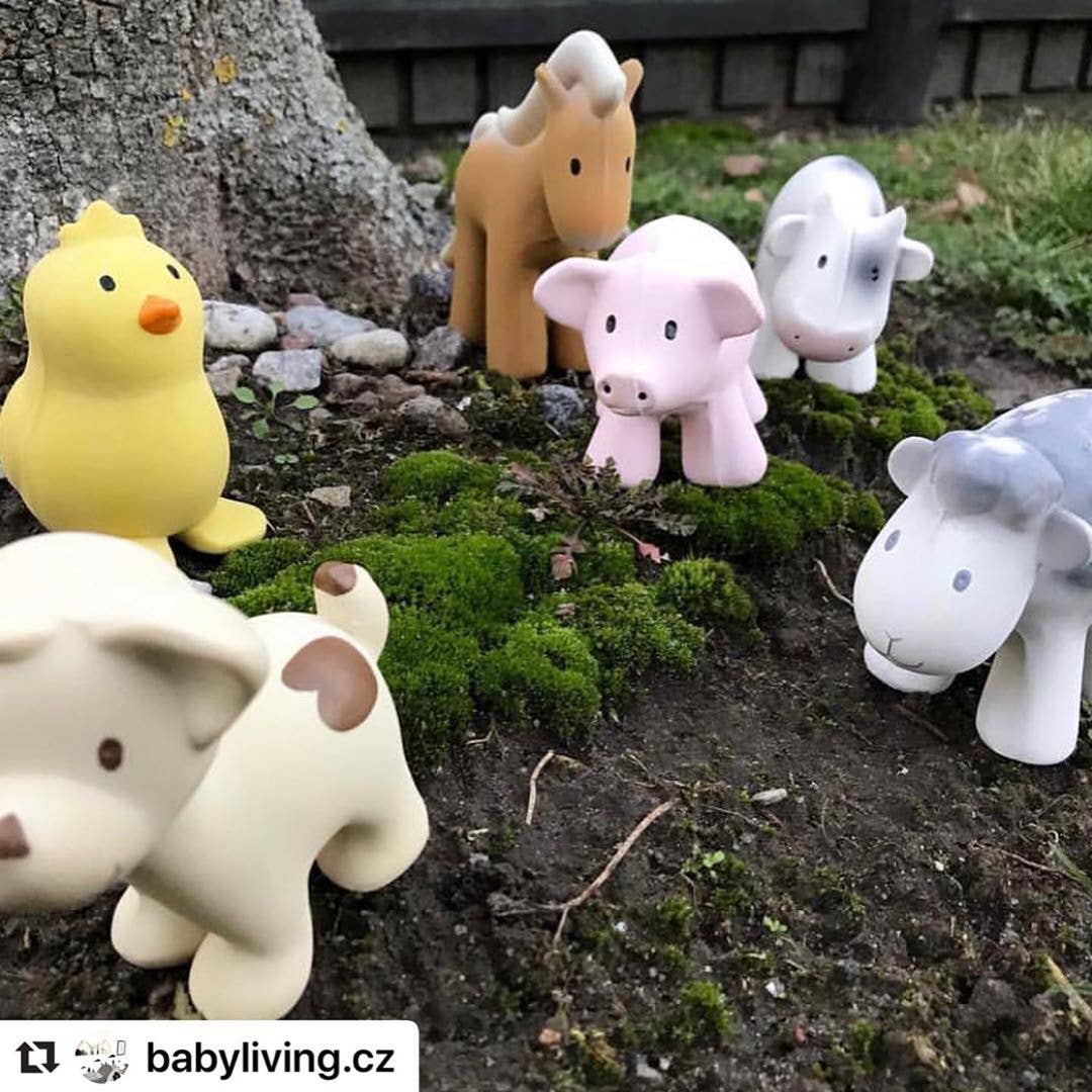Horse Natural Organic Rubber Teether, Rattle & Bath Toy - Tiny Tots Boutique