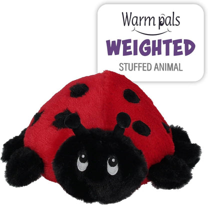 Lilly Ladybug Warm Pal - Tiny Tots Boutique