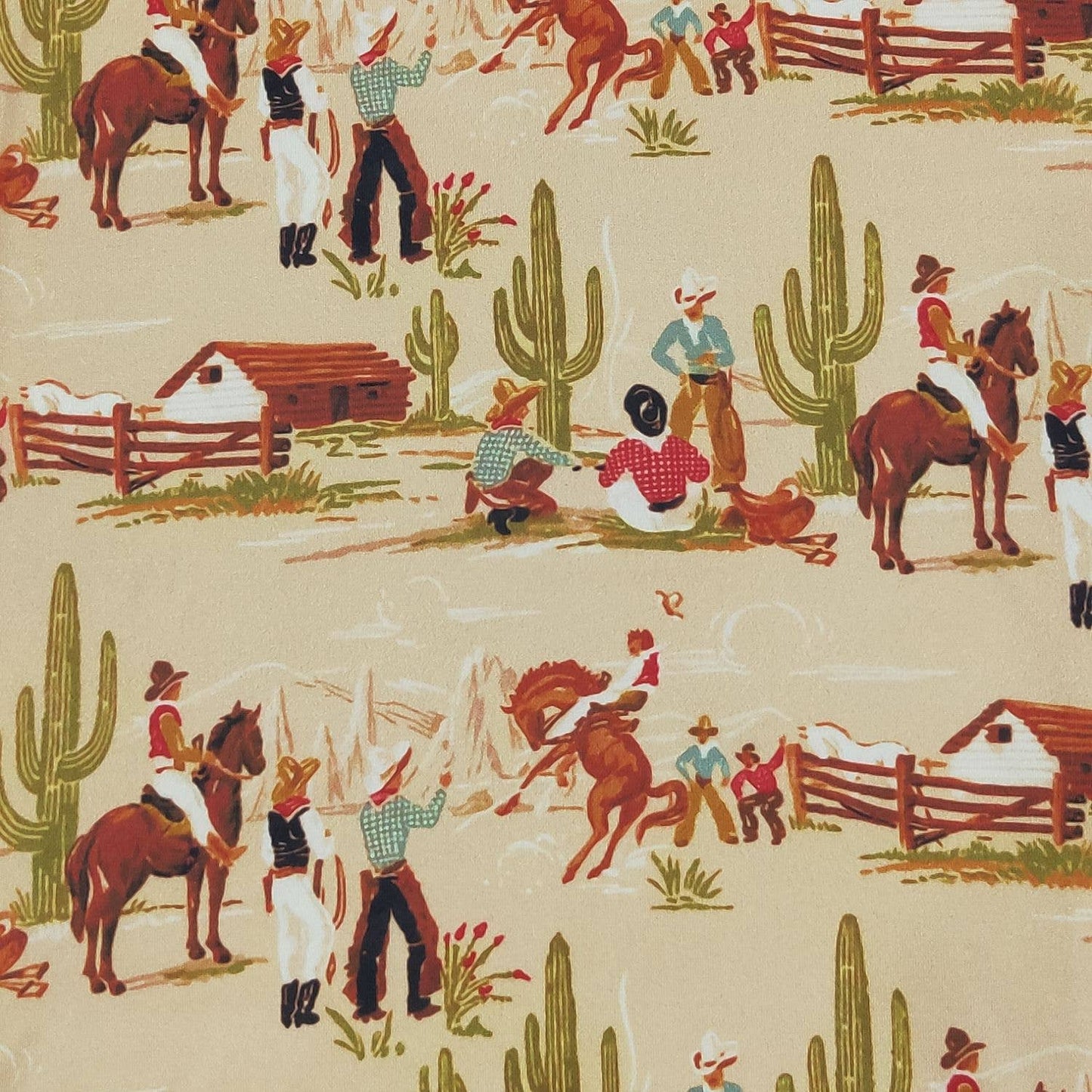 Personalized Home on the Range Minky Blanket - Tiny Tots Boutique