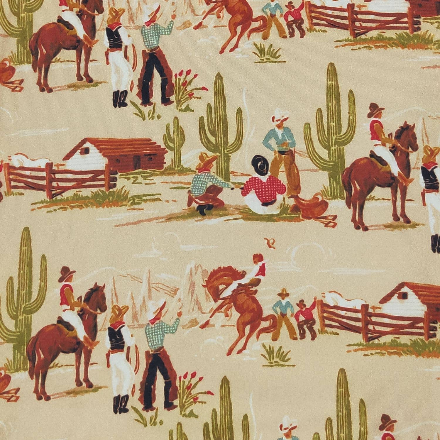 Personalized Home on the Range Minky Blanket - Tiny Tots Boutique